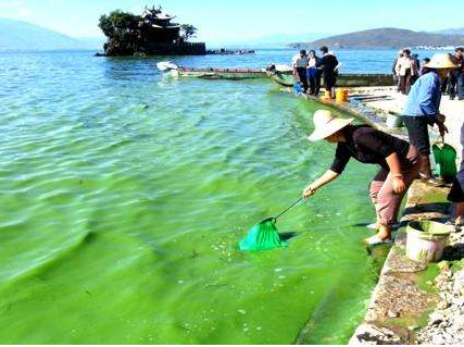 深圳水质检测中国哪些湖泊污染严重