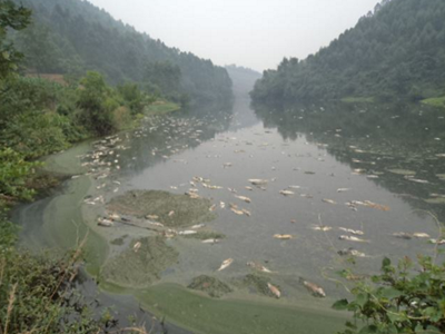 深圳水质检测