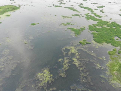 深圳水质检测