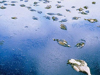 深圳水质检测机构检测污水中含有多少种致癌致肿瘤物质