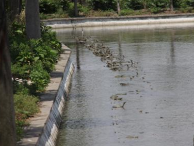 深圳水质检测