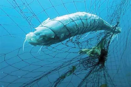 深圳水质检测机构